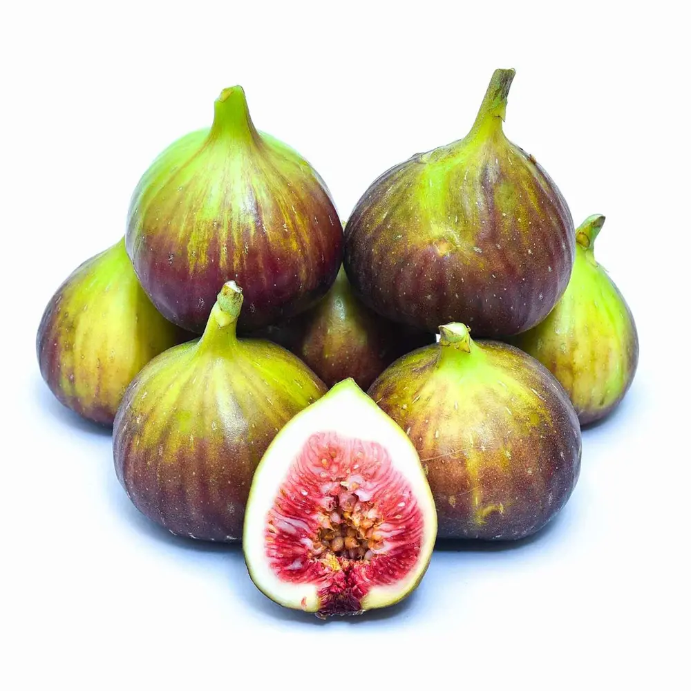 category-image